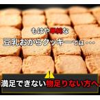業界最安値に挑戦 本格派ダイエッターをサポート ソイプロテインplus 豆乳おからプロテインクッキー1kg 徳用BIGサイズ 送料無料 スイーツ王国