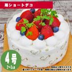 ショッピングケーキ 【父の日】【誕生日ケーキ・バースデーケーキ】苺ショートデコ　4号（12cm）2〜3人用【店頭受取専用商品】【メッセージプレート＆ローソクつき】