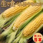 商品画像3