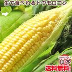  corn raw . meal .... fruit maize Hokkaido ... production . taste with translation 10ps.@ free shipping postage separately . addition be region equipped 