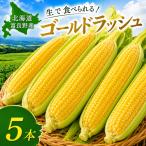  кукуруза Gold Rush 5шт.@ Hokkaido . хорошо . производство бесплатная доставка сладкий кукуруза подарок ваш заказ прямая поставка от производителя утро .. рефрижератор 7 месяц отправка 