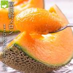  дыня . хорошо . дыня Hokkaido производство красный мясо превосходящий товар 2L размер 2 шар примерно 1.5kg и больше подарок на Bon Festival подарок соответствует возможность . покупка 