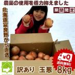  лук репчатый есть перевод 8kg бесплатная доставка Hokkaido . хорошо . производство 