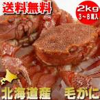  Hokkaido производство шерсть .2kg (3 из 8 хвост ) Boyle рефрижератор 