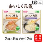 介護食 レトルト おいしく元気 お試しセット 区分3