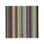 ザヴィーナミニマックス ベギアクロス BG(グリーン) 1枚 18765 / おしゃれ 便利 使いやすい おすすめ 国内メーカー製 健康グッズ 美容グッズ