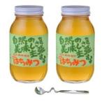鈴木養蜂場 はちみつ 大瓶2本セット(菜の花1.2kg、レンゲ1.2kg、はちみつスプーン) / おしゃれ 便利グッズ 長持ち 使いやすい おすすめ