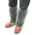 ȤΤƥ塼ݸС(25­) /  Ĺ  Ȥ䤹 磻 İ ݡ ȥɥ 