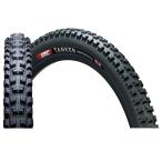 井上ゴム工業 iRC アイアールシー M148 TANKEN GEKKOTA TLR 29×2.6（700×66C）