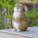 ミニうさぎ 置き物 インテリア 装飾 玄関 動物 雑貨 ディスプレイ