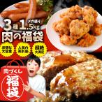 メガ盛り肉の福袋 絶品 惣菜 セット