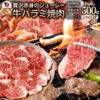 牛ハラミ焼肉 500g（250g