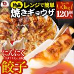 ショッピング餃子 餃子 ギョウザ ギョーザ レンジ調理 中華 120個入り 3kg(1kg×3) 点心 中華料理 惣菜 冷凍 お弁当 あすつく 業務用 温めるだけ レンチン 冷食