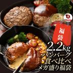 ショッピングハンバーグ ハンバーグ 食べ比べ 豪華 福袋 メガ盛り 2.2kg 2種セット (プレーン100g×12個、チーズイン100g×10個) 惣菜 お弁当 業務用