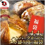 ハンバーグ 福袋 2種食べ比べ セット 4.4kg (プレーン100g×24個、チーズイン100g×20個) 温めるだけ レンジ 冷凍 惣菜 あすつく 業務用