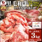 牛肉 肉 黒毛和牛 しゃぶしゃぶ すき焼き 贅沢 霜降り 切り落とし たっぷりメガ盛り 3kg(250×12p) 父の日 御中元 ギフト 食品 プレゼント お祝い お中元