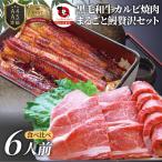 黒毛和牛 & まるごと鰻 セット 6人前 焼肉のタレ 凍眠 テクニカン 肉 母の日 父の日 ギフト 食品 プレゼント うなぎ 黒毛和牛 カルビ 焼肉 A4 〜 A5等級