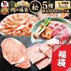 肉 福袋 黒毛和牛入り 肉の福袋 「松福袋」凍眠 テクニカン 牛肉 食品 メガ盛り 総重量1kg超 焼くだけ 解凍するだけ ランキング1位 人気のお肉 爆買