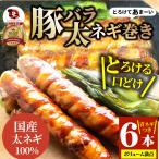 豚バラ 太ネギ巻き 6本（総重量600g超） とろけるネギ バーベキュー 肉 食材 セット BBQセ ...