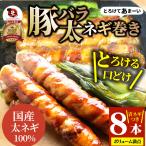 豚バラ 太ネギ巻き 8本（総重量800g超） とろけるネギ バーベキュー 肉 食材 セット BBQセット キャンプ キャンプ飯