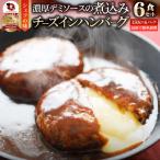 ショッピングハンバーグ チーズ イン ハンバーグ 煮込みハンバーグ 6食セット (150g×6パック) メガ盛り 惣菜 洋食 冷凍 チーズインハンバーグ あすつく 業務用 温めるだけ 送料無料