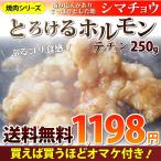 焼肉 牛肉 肉 ホルモン テッチャン モツ シマチョウ 250g バーベキュー 焼くだけ オマケ付き