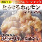 焼肉 セット 牛肉 肉 ホルモン 牛テッチャンシマチョウ モツ 250g 焼肉用 ＢＢＱ 秘伝 タレ漬け 焼くだけ 行楽 レジャー キャンプ