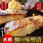 天然鯛 鯛 鯛味噌漬け 
