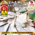 魚 鯛 しゃぶしゃぶセット 4人前 鯛しゃぶ たい 宇和島 愛媛 宇和海 讃岐うどん 鍋 母の日 父の日 ギフト 食品 プレゼント 女性 男性 お祝い 新生活