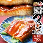 ショッピングおつまみ セット うなぎ カット おつまみ 蒲焼き ウナギ 鰻 10人前(70g×10パック) 祝い 記念 通販 グルメ 誕生日 牛 内祝