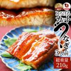 ショッピングうなぎ うなぎ カット おつまみ 蒲焼き ウナギ 鰻 3人前(70g×3パック) 祝い 記念 通販 グルメ 誕生日 牛 内祝