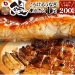 うなぎ蒲焼 1本入り（約200ｇ）たれ・山椒付き 鰻 かば焼き 土用 丑の日 湯煎 レンジOK 簡単解凍するだけ 惣菜 冷凍当日発送