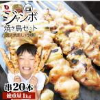 ショッピング鳥 炭火 焼鳥 3種 ミックス 20本 もも串 かわ串 ねぎま串 盛り合わせ 惣菜 やきとり 焼き鳥 温めるだけ 湯煎 おつまみ あすつく 冷凍食品