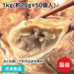 ショッピングぎょうざ 創業の味生餃子 20g×50個入 108147 お店の味 合成保存料 合成着色料不使用 ぎょうざ