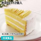 冷凍食品 業務用 モンブラン 約40g×12個入 112207 洋菓子