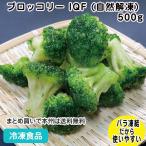 冷凍食品 業務用 ブロッコリー IQF (自然解凍) 500g 20825 簡単 時短野菜 ぶろっこりー バラ凍結