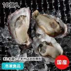 冷凍食品 兵庫県産室津産ハーフシ