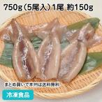 冷凍食品 業務用 マツイカ つぼ抜き （Lサイズ） 750g（5尾入）27951  まついか 松烏賊 魚介類 海鮮