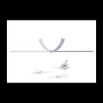  для бизнеса 2-40 носигами лотос столица B6 штамп 100 листов входит 1 шт. Y008391 носигами 