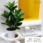 o... искусственный цветок Mini размер 1 шт. . стоимость .. для человеческий труд ... искусственный цветок общая длина 30cm.si Kimi . просо SGI SOKA