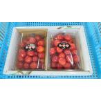 紅秀峰1Kg2Lサイズ化粧箱入り贈答用