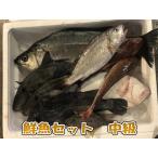 鮮魚セット産地直送｜新潟村上の漁師が直販する日本海の鮮魚詰合せ｜中級