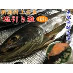 塩引き鮭３キロ台 新潟県村上市から産地直送でお取り寄せ 一尾丸のまま 冷蔵発送 条件付送料無料