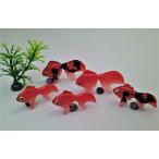 金魚金魚3匹セット＋水草セット小2...