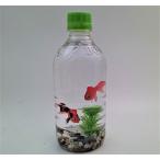 金魚雑貨インテリア置物セットお買い...