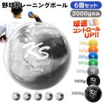  бейсбол тренировка мяч вес мяч лампочка скорость выше тренировка pa мяч Sand мяч тяжелый мяч софтбол 2000g (6 шт. комплект )
