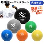 野球 トレーニング ボール ウエイトボール 球速アップ 練習 プアボール サンドボール 重い ボール ソフトボール 130g 150g 200g 300g 500g 1000g 6種セット