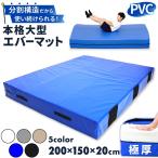 エバーマット 体操マット 極厚 PVC カバー トレーニング 運動マット ボルダリング 跳び箱 学校 幼稚園 保育園 施設用 体育 送料無料 Lサイズ 200×150×20cm