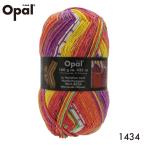 Opal шерсть Hundertwasser 1434fn Dell tovasa-/sokya-n носки для шерсть ... вязаный ручной вязки вязание рукоделие ручная работа ручная работа иглы для вязания крючком палка игла 