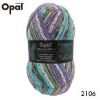 ショッピング毛糸 Opal 毛糸　Hundertwasser 2106